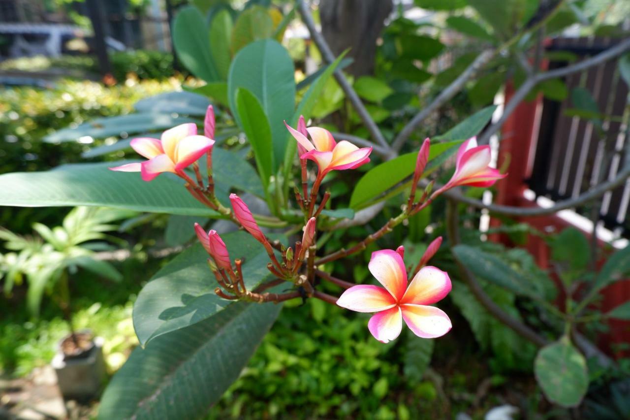 בנגקוק Mon Lodge & Yoga Donmueang מראה חיצוני תמונה